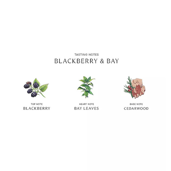 NEW Jo Malone Black berry and Bay Body Hand Wash 8.5oz/250ml - Picture 4 of 7